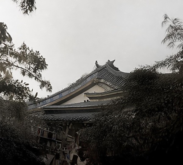 酒店与乡村合作方案