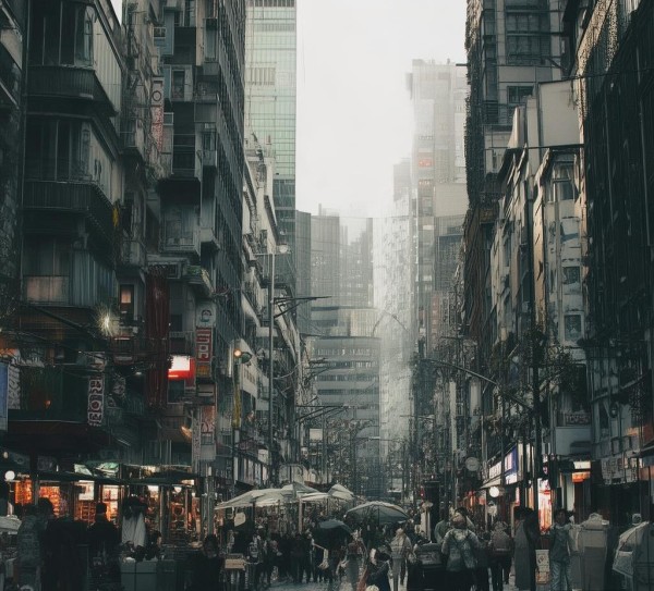 鸿云酒店餐饮服务，创新与品质的完美结合